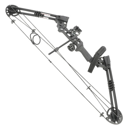 Compound Bow Arrow Set with Spine 500 Carbon Arrows 20-70lbs Adjustable Draw Weight 320FPS High-Strength Alloy Handle RH/LH for Adults Beginners Hunting Shooting Target Practice Outdoor Sports Accessories