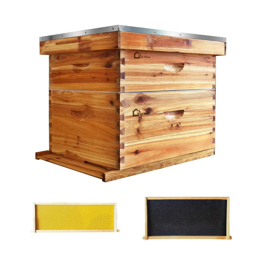 10-Frame Beehive Starter Kit Wax-Coated with 1 Deep Brood Box & 1 Medium Super Bee Box for Beekeeper Beekeeping Supplies