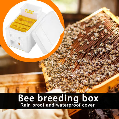 Beekeeping Tools For Beekeeper Supplies Bee Hive Frame Holder Equipment Kit Beehive Pollination King Bees Hive Box