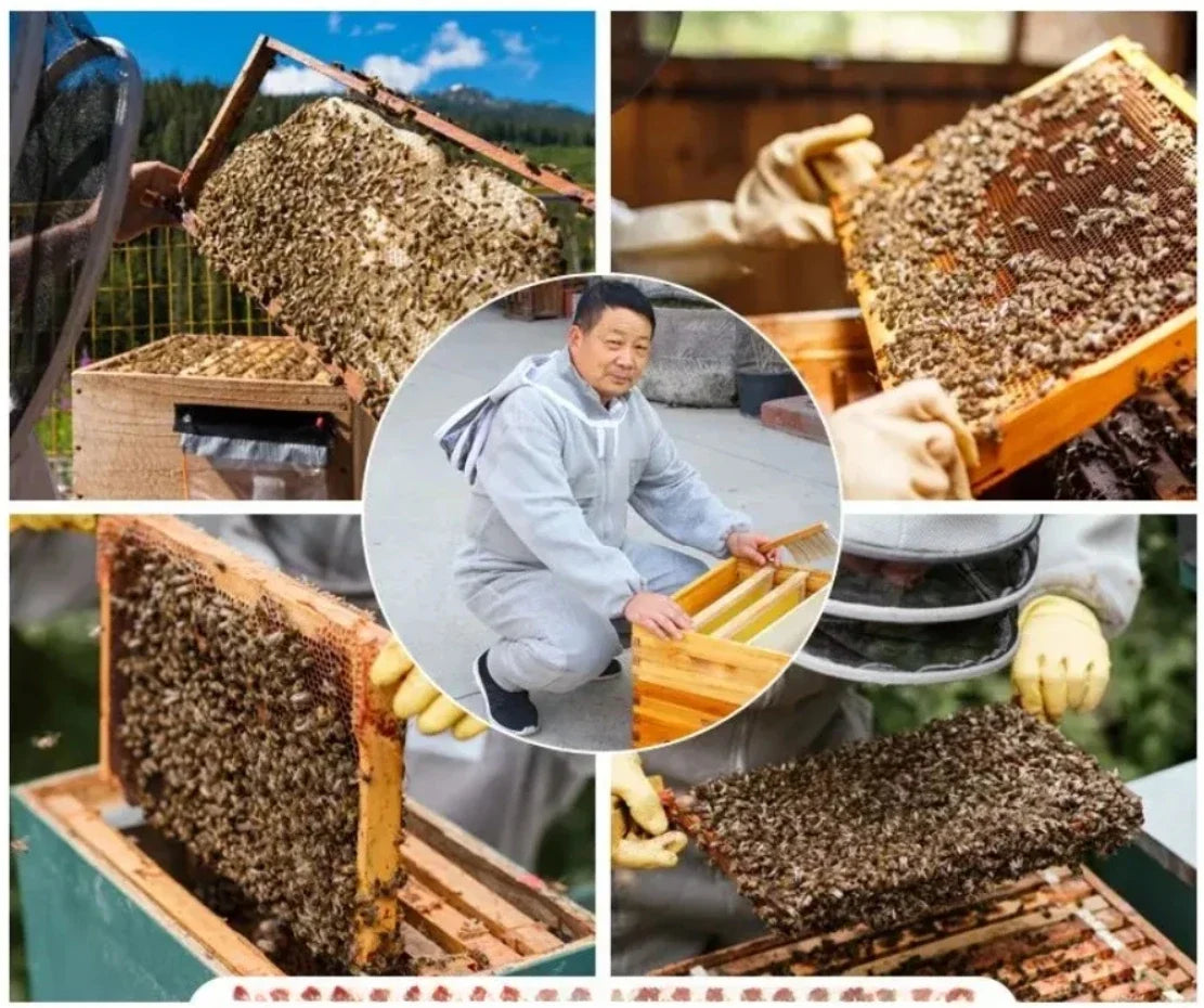 Bee Suit Professional Grade Preferred 3D Air Cotton Fabric Full Body Beekeeping Protective Clothing Beekeeper Suits