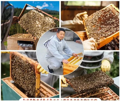 Bee Suit Professional Grade Preferred 3D Air Cotton Fabric Full Body Beekeeping Protective Clothing Beekeeper Suits