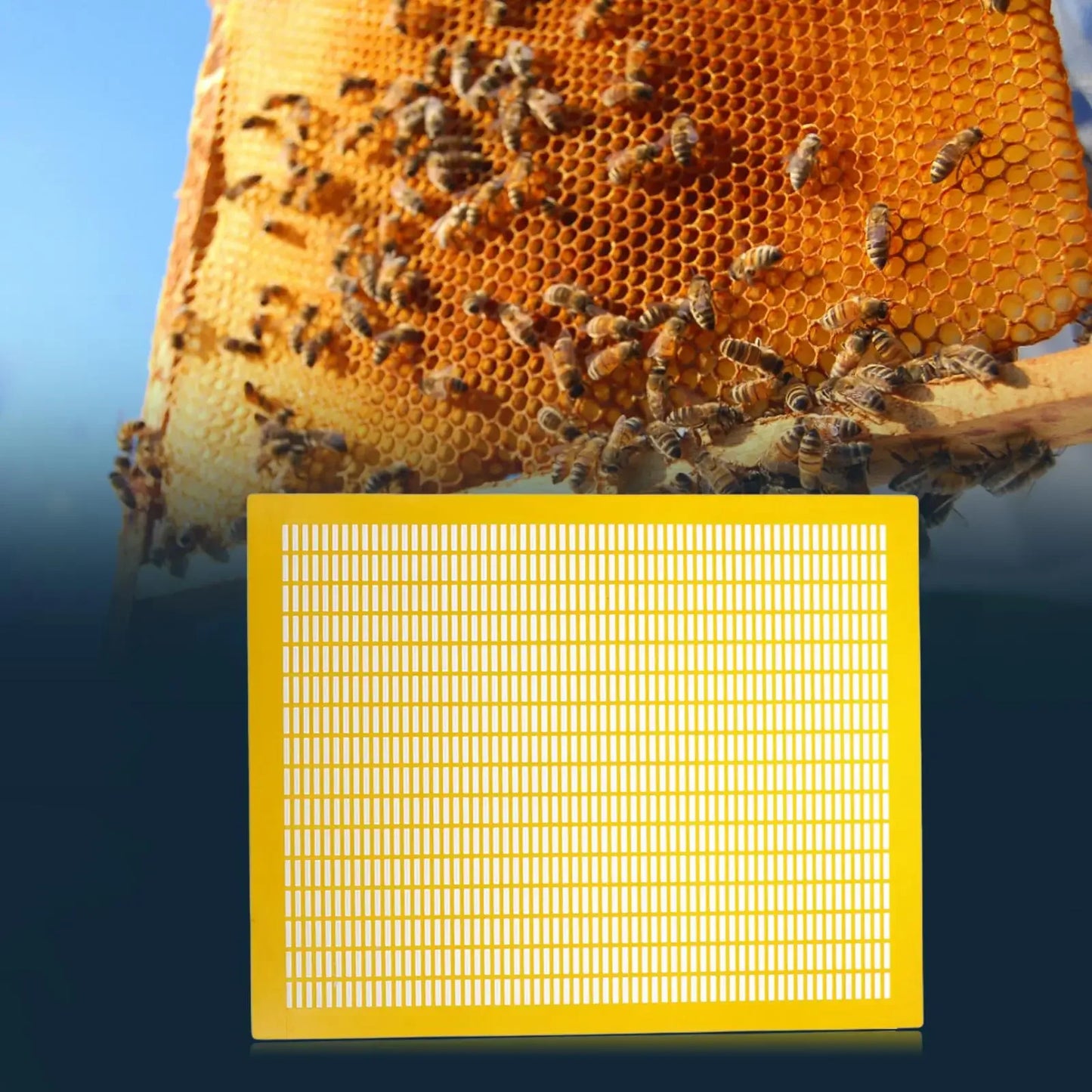 Sturdy 10 Frame Queen Bees Excluder Easily Clean Separate Queen Bees Board Backyard Accessories Supplies