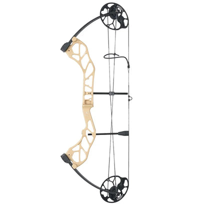 Compound Bow Archery Sets 19-70lbs Draw Weight Adjustable Shooting Right Hand Hunting Bows Adult Beginners Kit Up to IBO 320 Fps