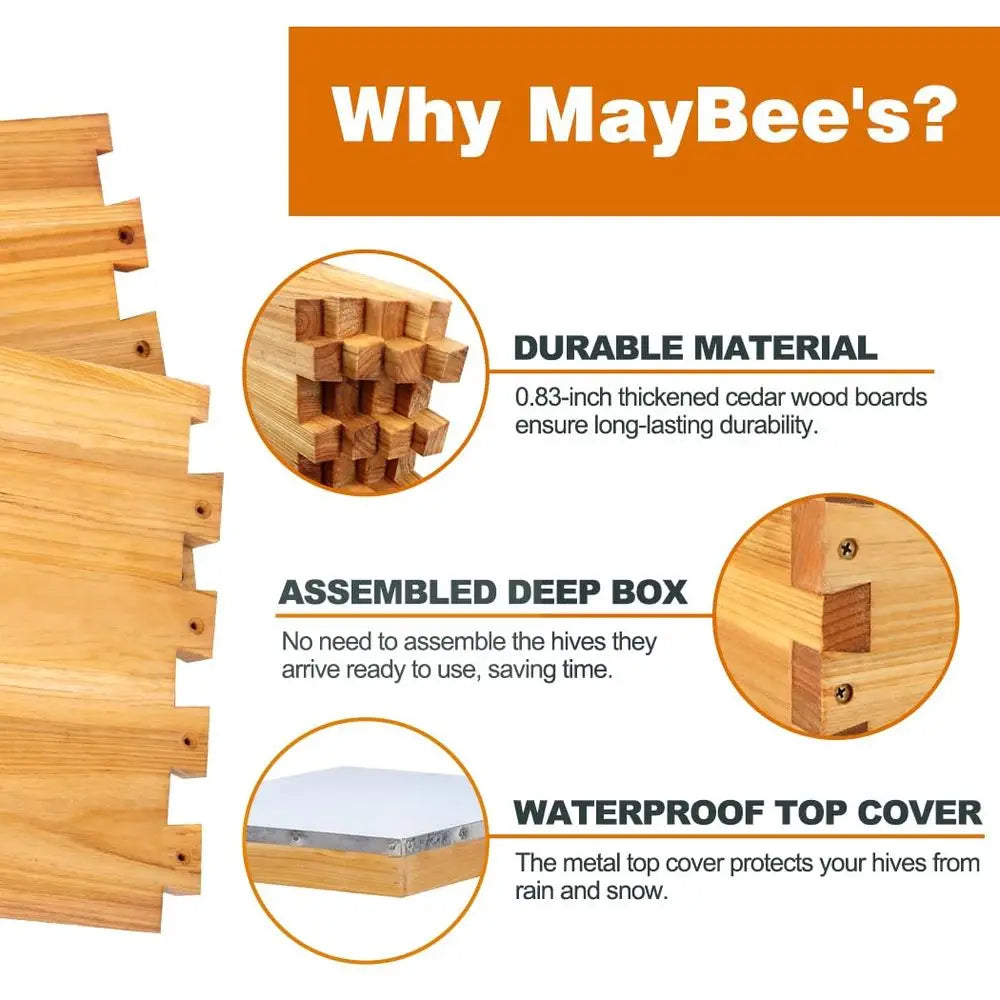 8-Frame Beehive Kit with Wax-Coated Hives and Essential Beekeeping Equipment