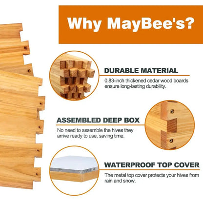 8-Frame Beehive Kit with Wax-Coated Hives and Essential Beekeeping Equipment