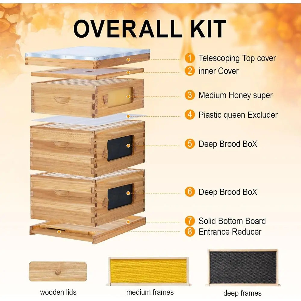 10 Frame Bee Hive Starter Kit with Windows