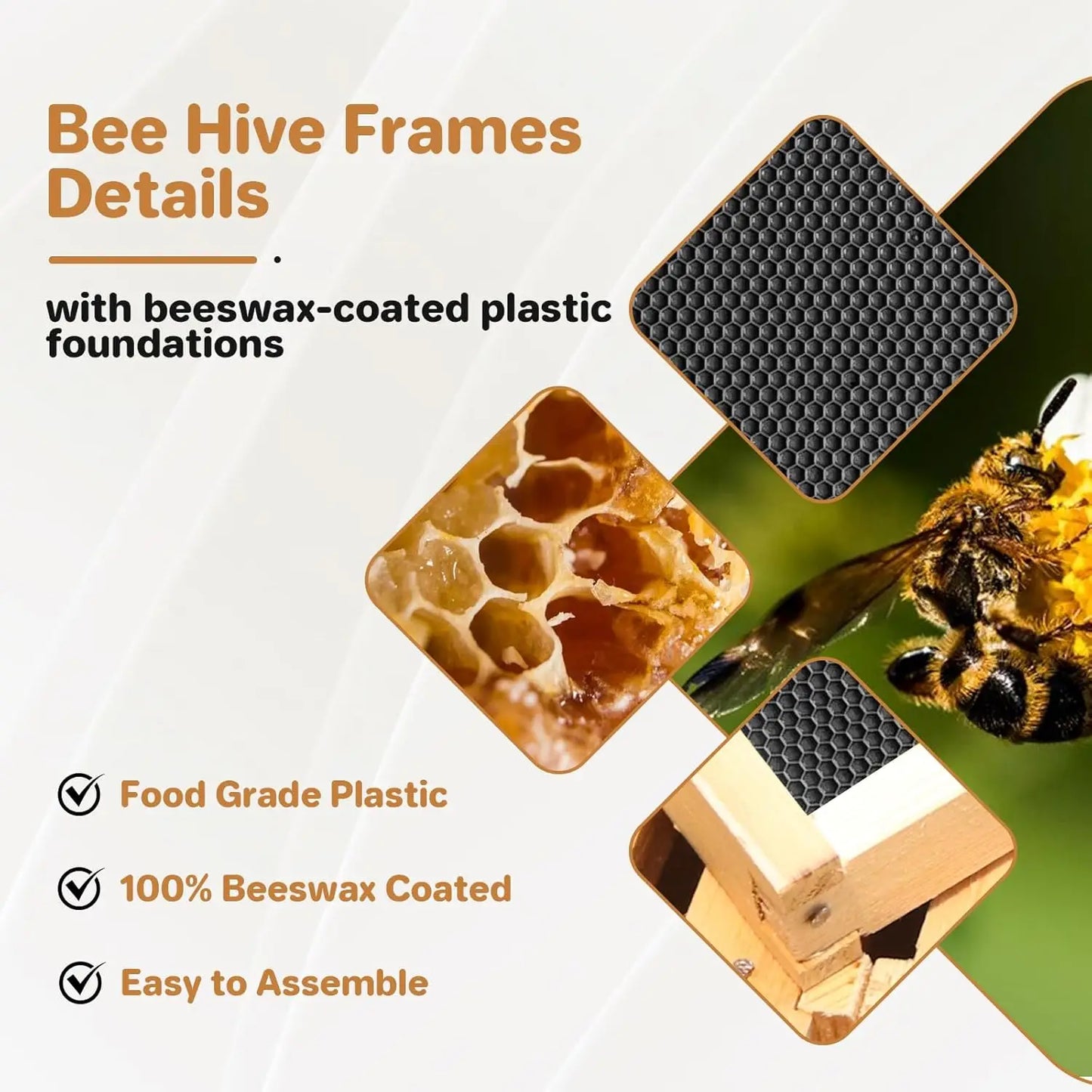 10-Frame Beehive Starter Kit Wax-Coated with 1 Deep Brood Box & 1 Medium Super Bee Box for Beekeeper Beekeeping Supplies