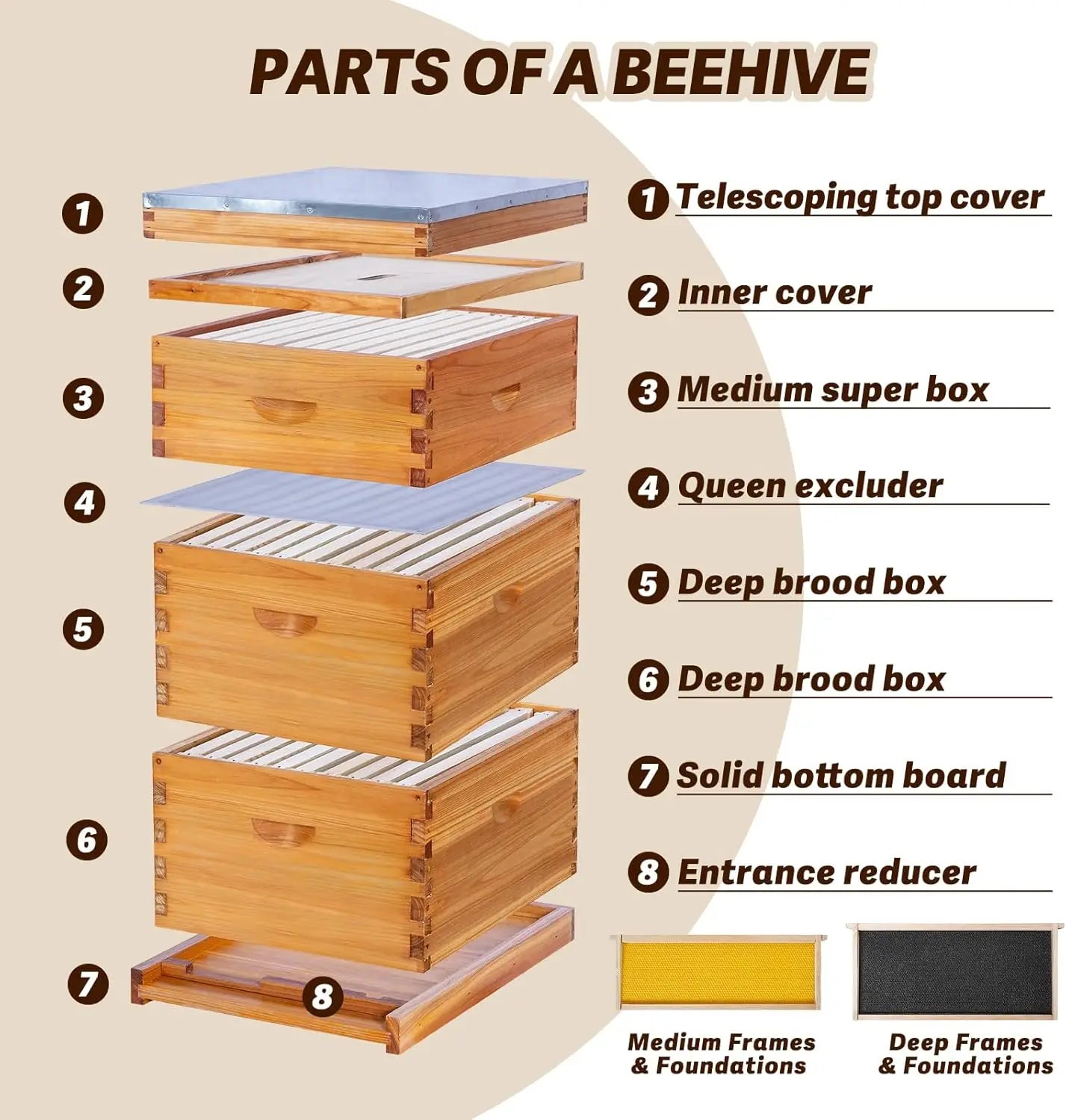 10-Frame Langstroth Bee Hive Complete Bee Hive Kit Beeswax Coated Include Beehive Frames (2 Deep Beehives Box & 1 Medium Box)