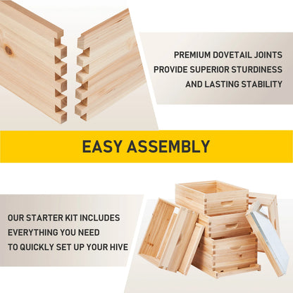 Bee Hive Boxes Starter Kit