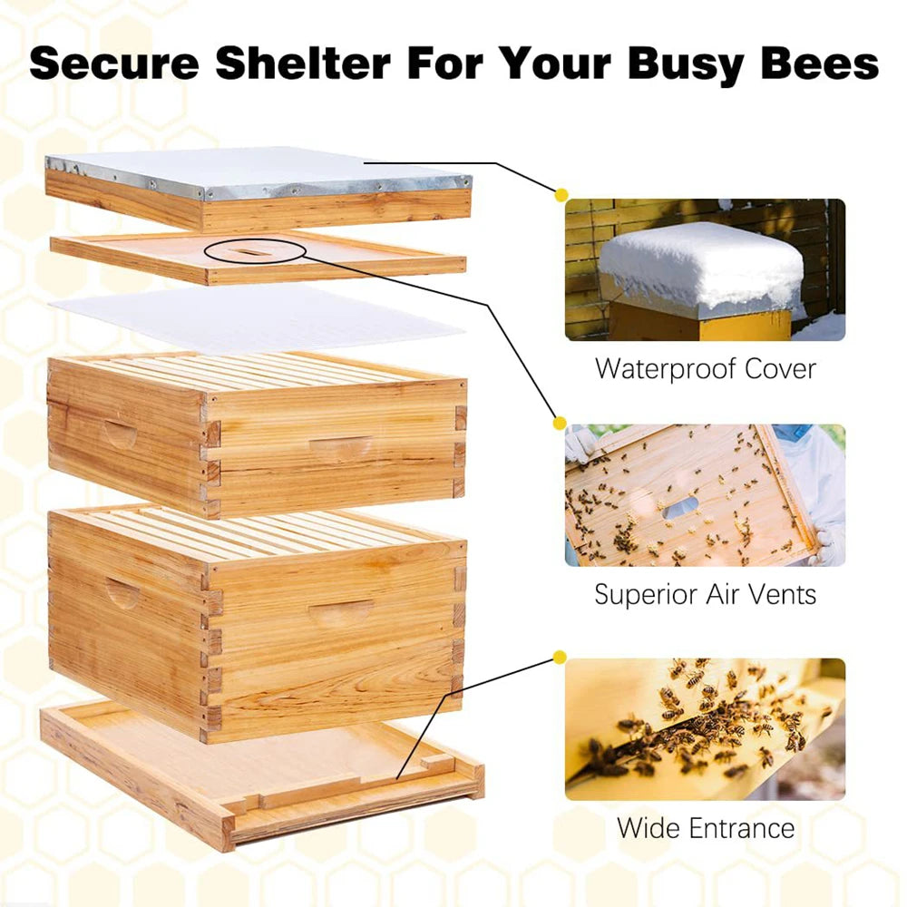 10-Frame Langstroth Bee Hive Coated with Beeswax Includes Beehive Frames and Foundations Beekeeping Starter Kit