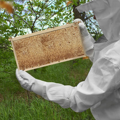 10 Deep Frame Kit with Foundations for Langstroth Beekeeping, Unassembled Pine Wood Frames
