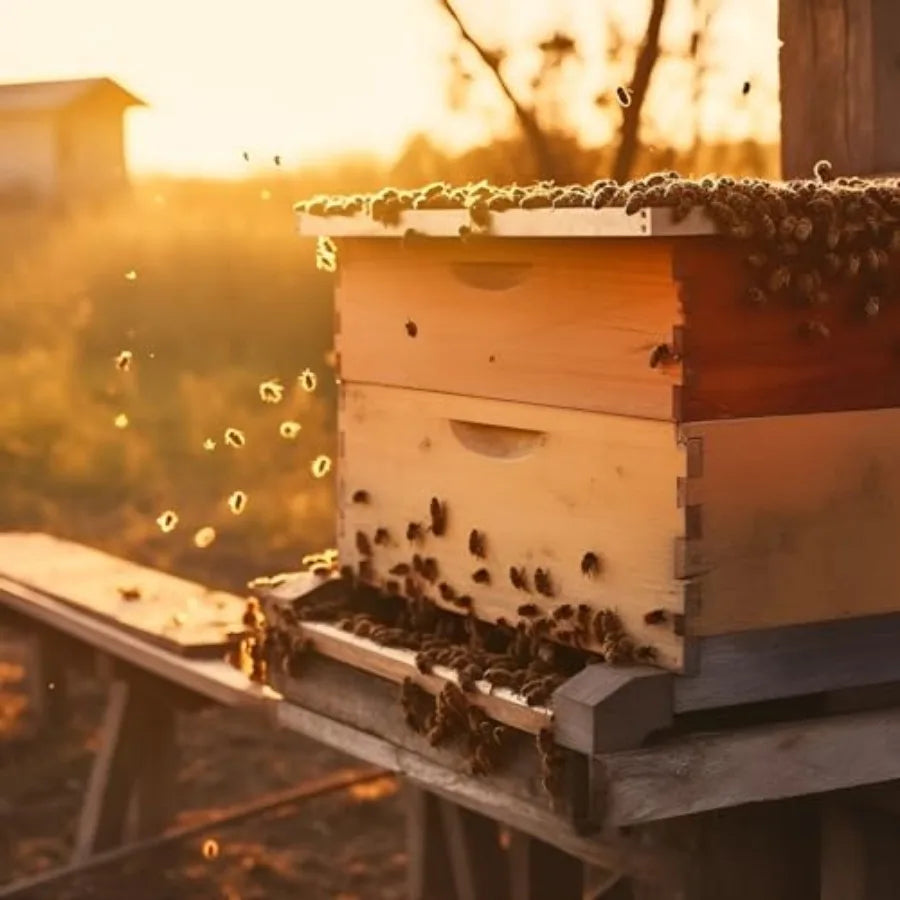 Colingmill Pieces Deep Bee Box for 0 Frame Unassembled Hive Brood Box with Wax Coating, Beekeeping Brood Boxes with Screws, Dip