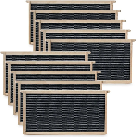 10 Deep Frame Kit with Foundations for Langstroth Beekeeping, Unassembled Pine Wood Frames