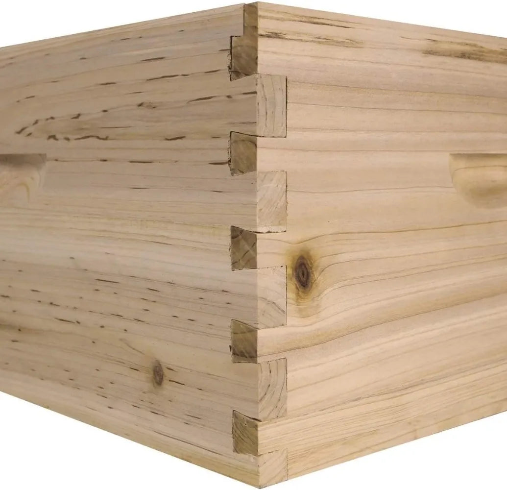 Starter 10 Frame Beehive Kit - Includes 2 Hive Bodies, 1 Super Box, Pine Frames, Wax Coated Foundations and More