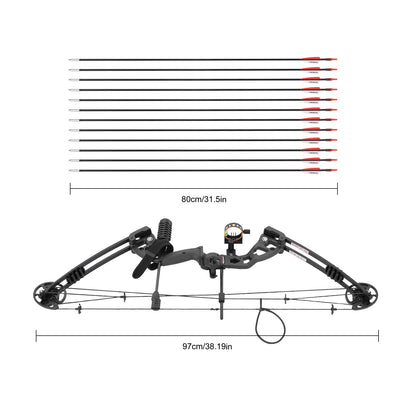 Compound Bow for Adults Right Hand Bow and Arrow Support Hunting Kit: 3 Pin Lighted Sight/Rest/Quiver/String Stop/Stabilizer/Shock Absorption/Allen Tool/Draw Weight and Cams Fully Adjustable
