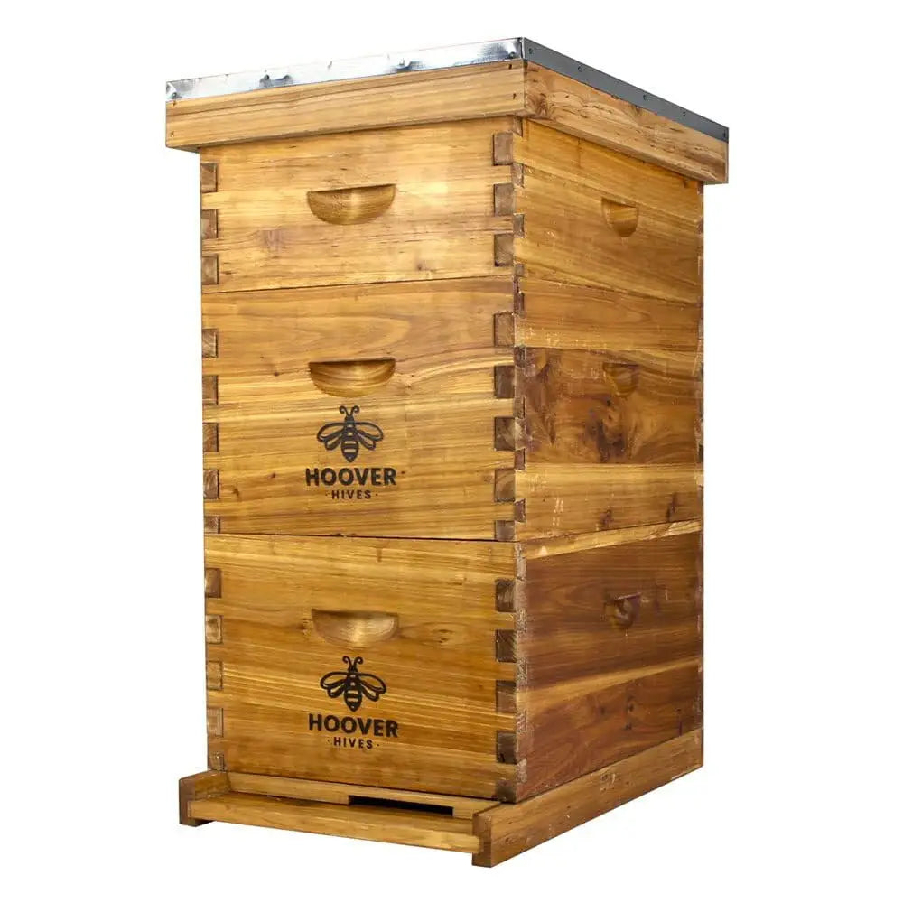 Complete 8-Frame Beehive Kit – Wax-Coated Fir Wood, Includes 2 Deep Brood Boxes, 1 Medium Super, Langstroth Frames, Customized