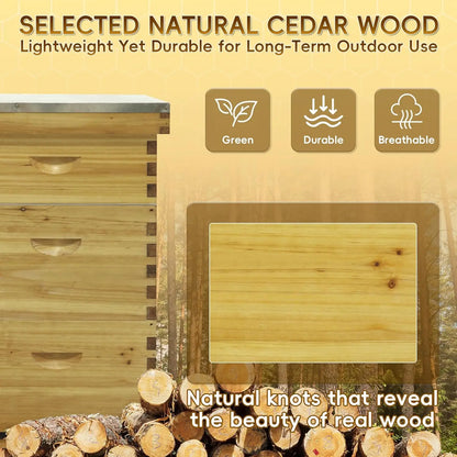 10-Frame Langstroth Beehive Beeswax Coated, Complete Bee Hive Kit Include Bee Frames and Waxed Foundation Sheets, Customized