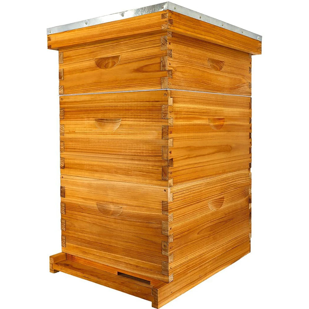 10-Frame Langstroth Bee Hive Coated with Beeswax Includes Beehive Frames and Foundations Beekeeping Starter Kit