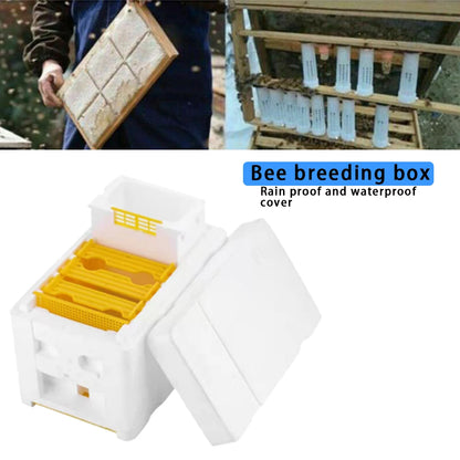 Beekeeping Tools For Beekeeper Supplies Bee Hive Frame Holder Equipment Kit Beehive Pollination King Bees Hive Box