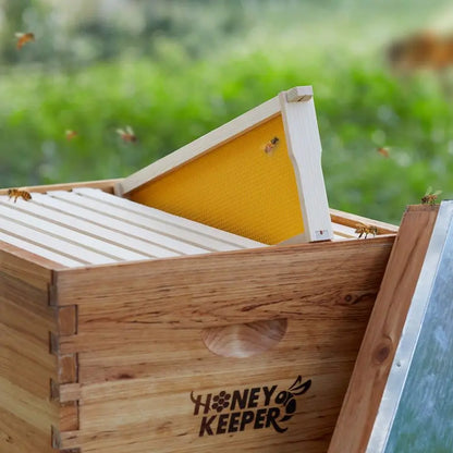 10 Assembled Beehive Frames with Waxed Natural Foundations for Beekeeping,