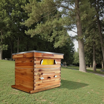 10-Frame Complete Beehive Kit, Wax Coated Bee Hives for Beginner, Includes 1 Deep Box and 1 Medium Bee Box with Acrylic Window, Beehives Frames and Wax Foundations for Beekeeping Supplement