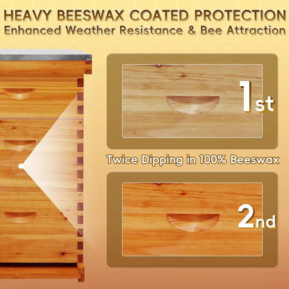 10-Frame Langstroth Beehive Beeswax Coated, Complete Bee Hive Kit Include Bee Frames and Waxed Foundation Sheets, Customized