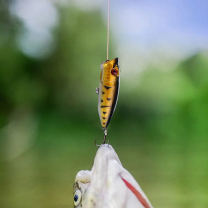 5Pcs Popper Fishing Lures Crankbait