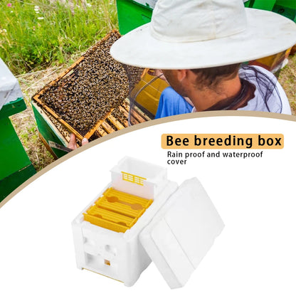 Beekeeping Tools For Beekeeper Supplies Bee Hive Frame Holder Equipment Kit Beehive Pollination King Bees Hive Box