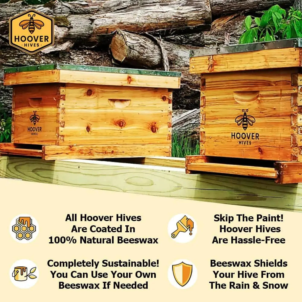 Complete 8-Frame Beehive Kit – Wax-Coated Fir Wood, Includes 2 Deep Brood Boxes, 1 Medium Super, Langstroth Frames, Customized