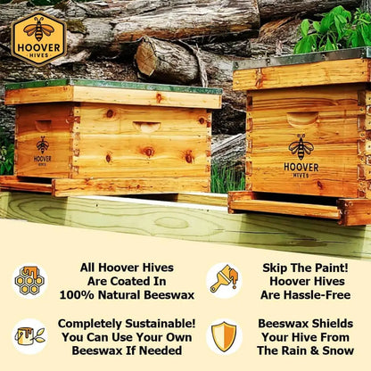 Complete 8-Frame Beehive Kit – Wax-Coated Fir Wood, Includes 2 Deep Brood Boxes, 1 Medium Super, Langstroth Frames, Customized
