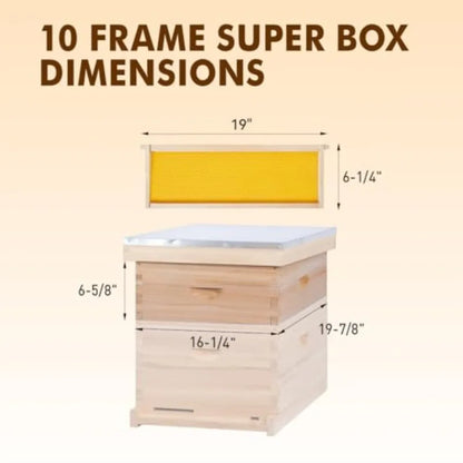 Medium Super Beehive BoxLangstoth Super Honey Bee Hive Box Include Beehive Frames and Waxed Foundations