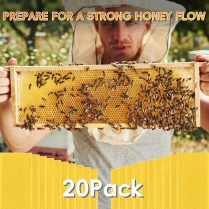 Natural Beeswax Coated Bee Frame Medium Foundation Sheets, Food-Grade Plastic Bee Hive Foundation for Medium Super Frames