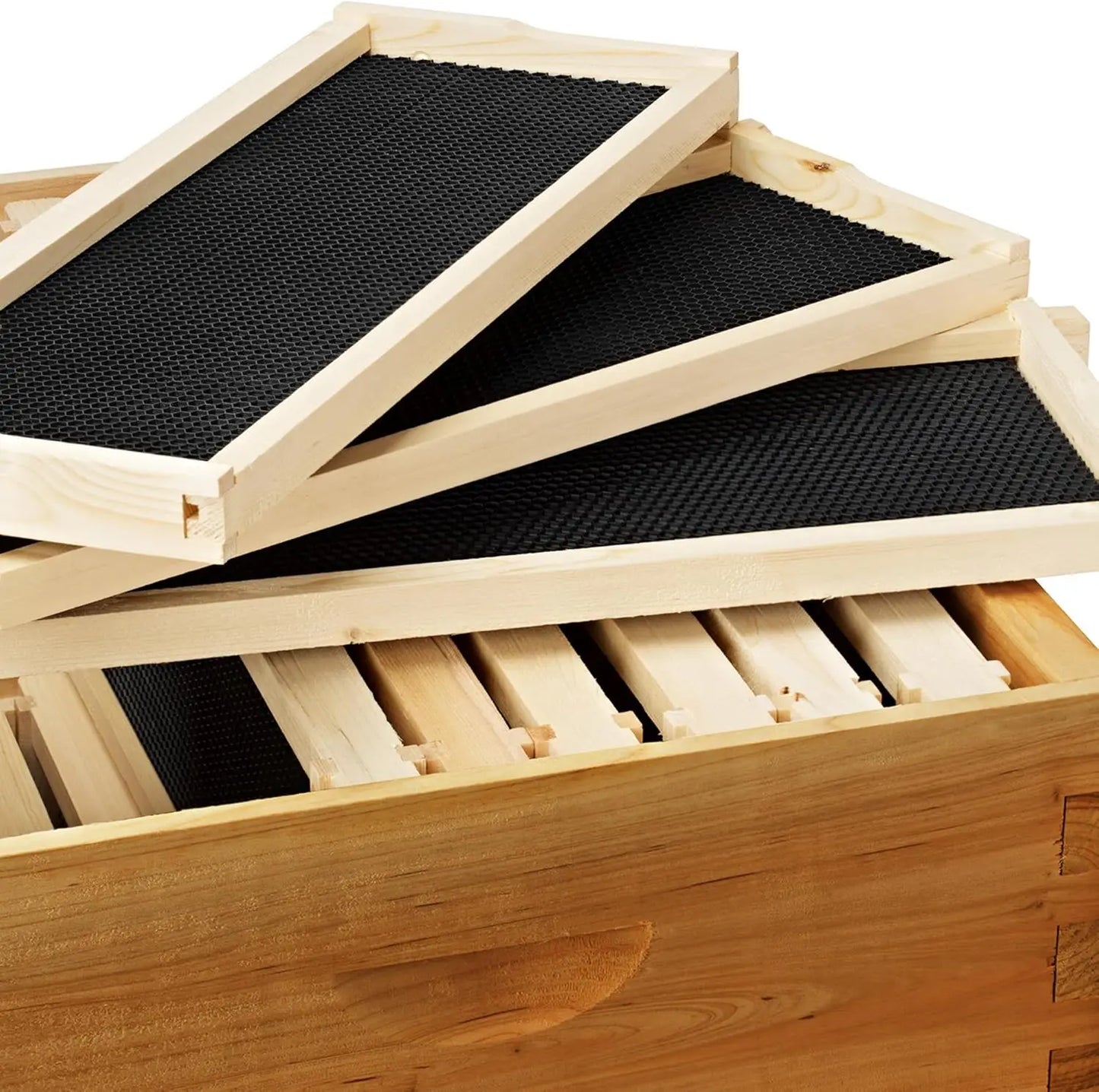 10 Frame Langstroth Beehive Kit with Deep Frames and Foundations for Beekeeping