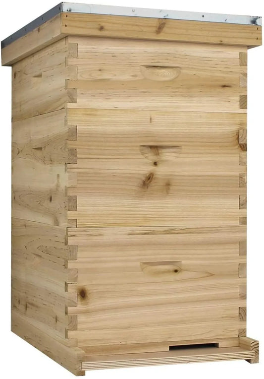 Starter 10 Frame Beehive Kit - Includes 2 Hive Bodies, 1 Super Box, Pine Frames, Wax Coated Foundations and More