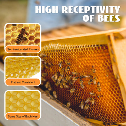 30 Pcs Bee Hive Foundations Beehive Frames Natural Pure Beeswax for Faster Comb Building & Higher Honey Yield 7.68x16.34 Inch