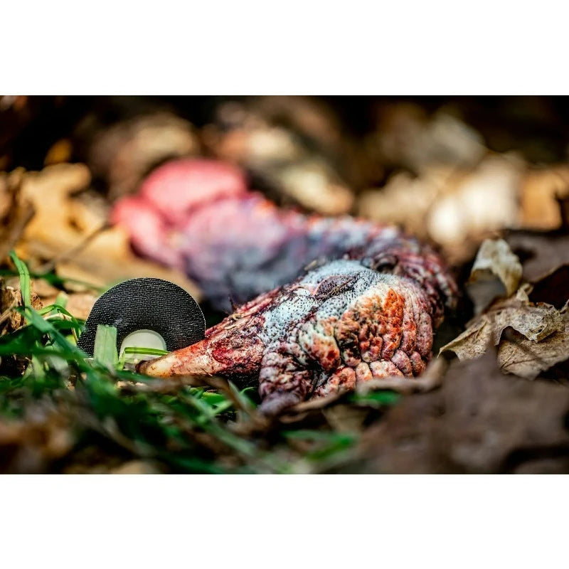 Ridge Beater Mouth Turkey Call