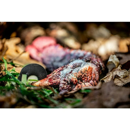 Ridge Beater Mouth Turkey Call
