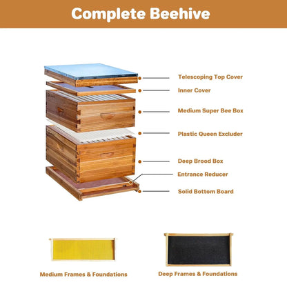 10-Frame Beehive Starter Kit Wax-Coated with 1 Deep Brood Box & 1 Medium Super Bee Box for Beekeeper Beekeeping Supplies