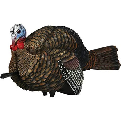 Avian X LCD 1/2 Strut Jake Turkey Decoy