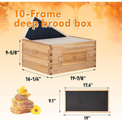 10 Frame Bee Hive Starter Kit with Windows