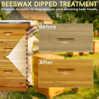 Langstroth 10 Frame Beehive Beeswax Coated, Complete Bee Hive Boxes Starter Kit Includes 2 Deep Hive Boxes and 1, Customized
