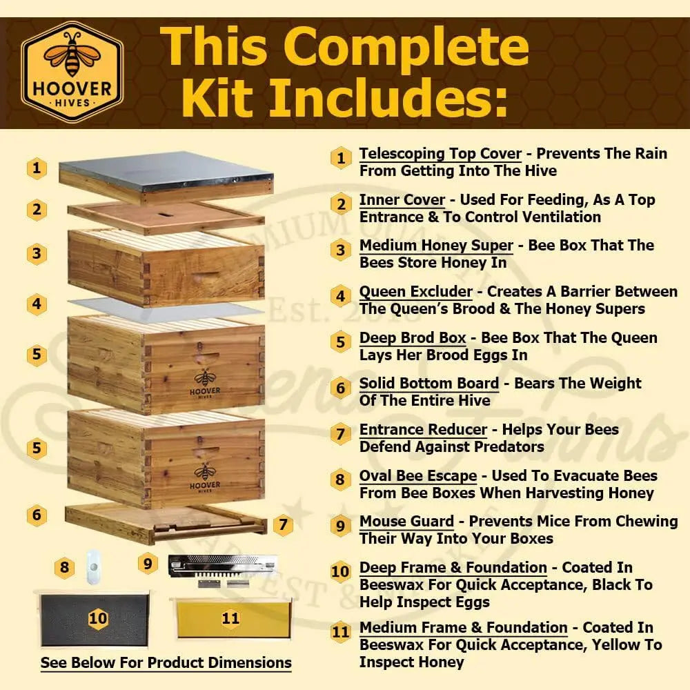 Complete 8-Frame Beehive Kit – Wax-Coated Fir Wood, Includes 2 Deep Brood Boxes, 1 Medium Super, Langstroth Frames, Customized
