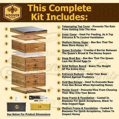 Complete 8-Frame Beehive Kit – Wax-Coated Fir Wood, Includes 2 Deep Brood Boxes, 1 Medium Super, Langstroth Frames, Customized