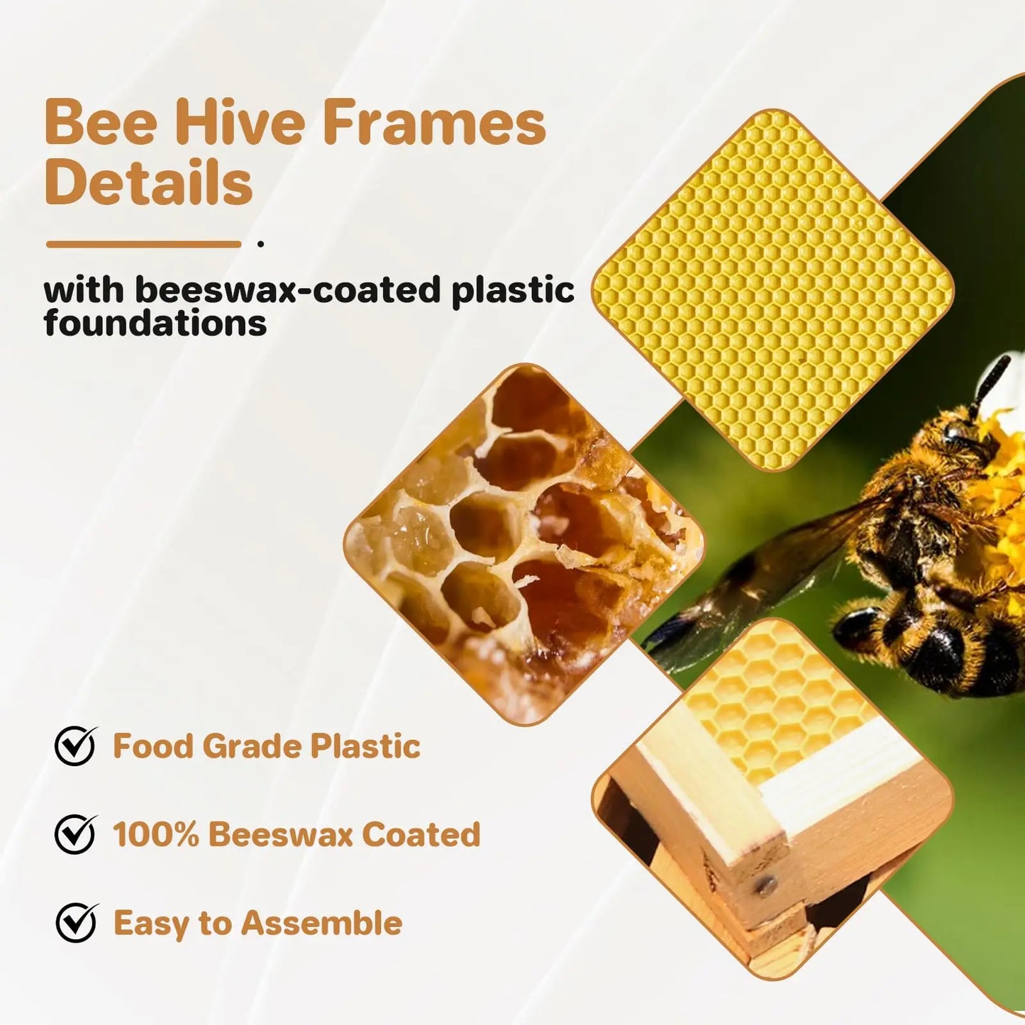 10-Frame Medium Super Bee Box, Wax Coated Bee Hives with Beehives Frames and Wax Foundations, Langstroth Honey Super for Beekeep