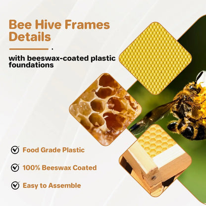 10-Frame Medium Super Bee Box, Wax Coated Bee Hives with Beehives Frames and Wax Foundations, Langstroth Honey Super for Beekeep