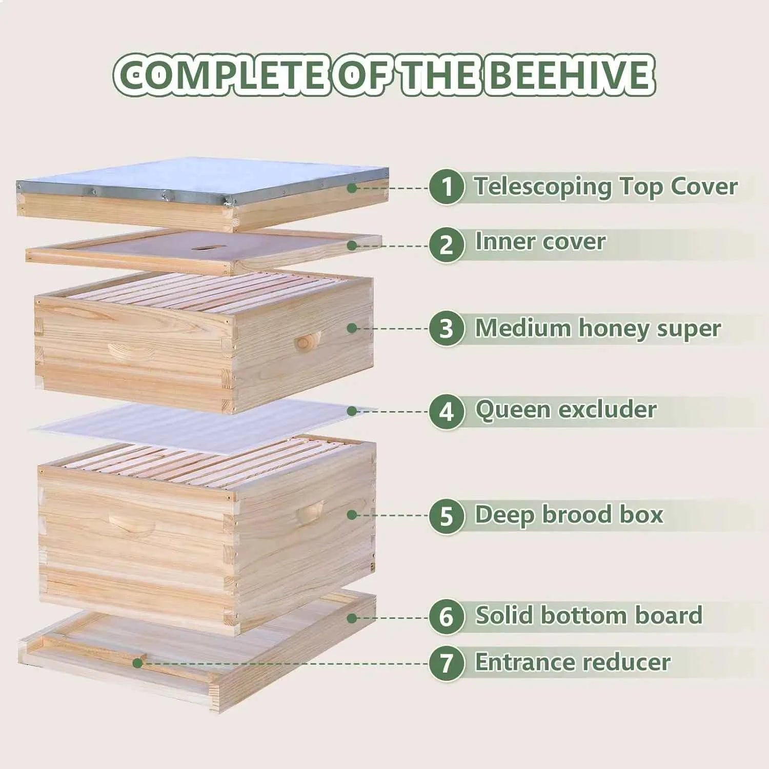 10 Frame Complete Bee Hive Starter Kit Deep Brood Box Medium Super with Frames & Foundation Sheets Beekeeping Equipment, Custom
