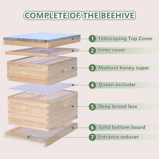 10 Frame Complete Bee Hive Starter Kit Deep Brood Box Medium Super with Frames & Foundation Sheets Beekeeping Equipment, Custom