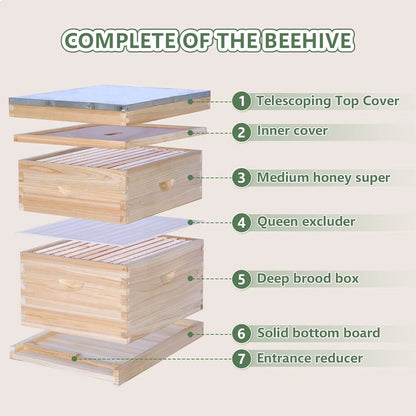 10 Frame Complete Bee Hive Starter Kit Deep Brood Box Medium Super with Frames & Foundation Sheets Beekeeping Equipment, Custom