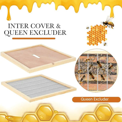 5 Pcs hive Parts Kit