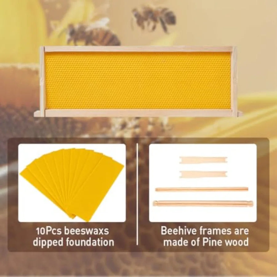 Medium Super Beehive BoxLangstoth Super Honey Bee Hive Box Include Beehive Frames and Waxed Foundations